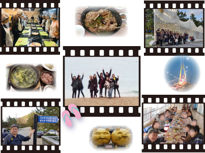 ミステリーツアー釜山編の写真